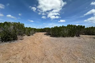 251 Stargazer Dr, Lampasas, TX 76550 - Photo 15