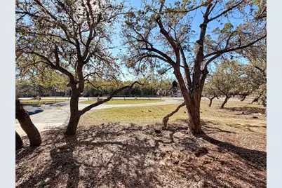 1191 Mossy Hollow Road, Spring Branch, TX 78070 - Photo 5
