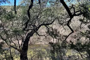 555 River Run, Leander, TX 78641 - Photo 23