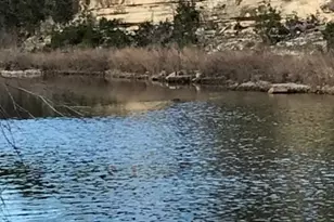 555 River Run, Leander, TX 78641 - Photo 3