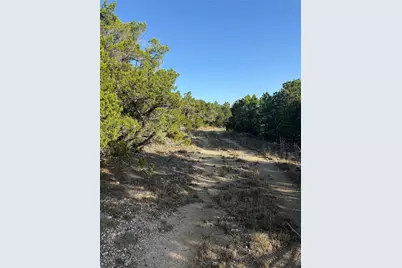 3600 Stagecoach Ranch Loop, Dripping Springs, TX 78620 - Photo 7