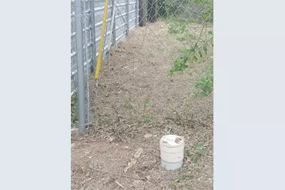 6303 Wilcab Road, Austin, TX 78721 - Photo 3