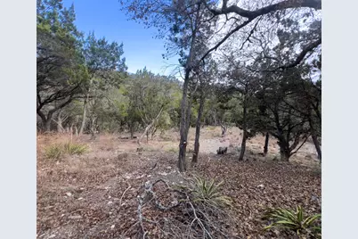 18505 Monet Pointe Drive, Jonestown, TX 78645 - Photo 19