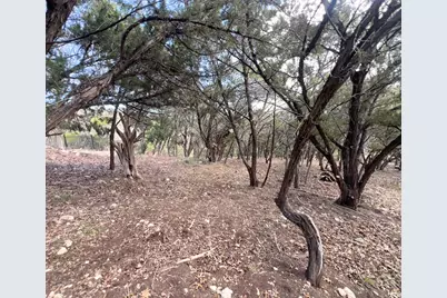 18505 Monet Pointe Drive, Jonestown, TX 78645 - Photo 15