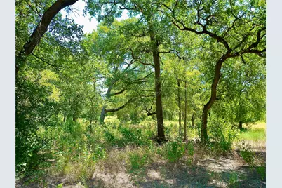 212 Serenity Drive, Liberty Hill, TX 78642 - Photo 9
