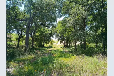 212 Serenity Drive, Liberty Hill, TX 78642 - Photo 3