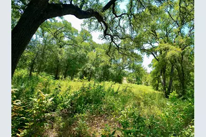 212 Serenity Drive, Liberty Hill, TX 78642 - Photo 19