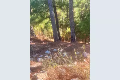 Tbd Onini Court, Bastrop, TX 78602 - Photo 3