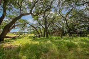 450 Co Rd 204, Burnet, TX 78611 - Photo 7