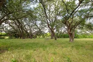 450 Co Rd 204, Burnet, TX 78611 - Photo 25