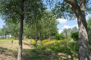 194 Rabbit Trail, Dale, TX 78616 - Photo 39