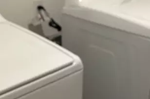 18005 Purple Top Ln, Manor, TX 78653 - Photo 3