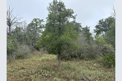 Tbd Hanauma Drive, Bastrop, TX 78602 - Photo 7