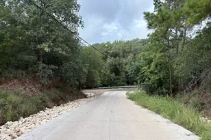 Tbd Hanauma Dr, Bastrop, TX 78602 - Photo 1