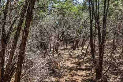 25723 Hamilton Pool Road, Round Mountain, TX 78654 - Photo 23