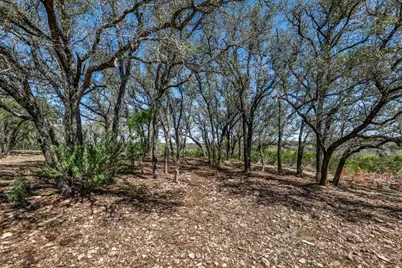 25723 Hamilton Pool Road, Round Mountain, TX 78654 - Photo 11