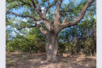 000 Cr103, Burnet, TX 76550 - Photo 3