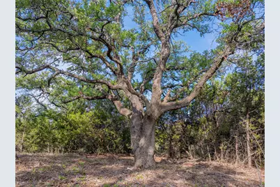 000 Cr103, Burnet, TX 76550 - Photo 19