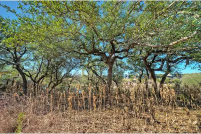 1311 Osprey Ridge Loop, Lago Vista, TX 78645 - Photo 15