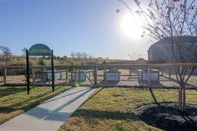 1021 Cowberry Drive, Georgetown, TX 78626 - Photo 19