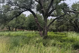 Lot 2 Hamilton Pool Rd, Bee Cave, TX 78738 - Photo 1