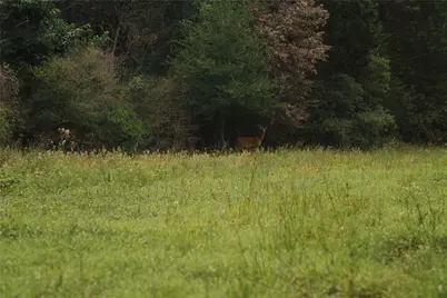 00 St Delight Road, Paige, TX 78659 - Photo 7