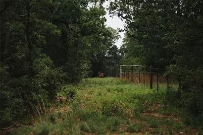 00 St Delight Road, Paige, TX 78659 - Photo 5