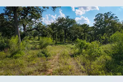 206 Sayers Road, Bastrop, TX 78602 - Photo 3