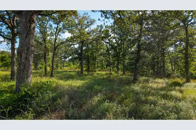 206 Sayers Road, Bastrop, TX 78602 - Photo 5