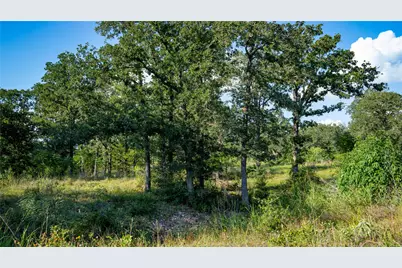 206 Sayers Road, Bastrop, TX 78602 - Photo 11