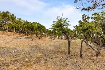 4519 Crawford Road, Spicewood, TX 78669 - Photo 5