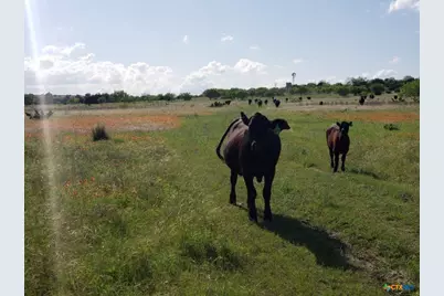 Lot 4 Cr 1255 Pitt Creek Ranch, Lampasas, TX 76550 - Photo 5