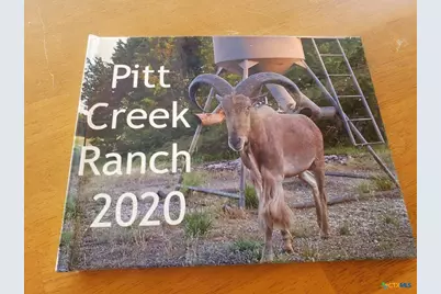 Lot 4 Cr 1255 Pitt Creek Ranch, Lampasas, TX 76550 - Photo 1