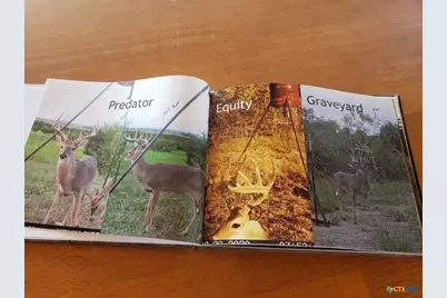 Lot 4 Cr 1255 Pitt Creek Ranch, Lampasas, TX 76550 - Photo 9