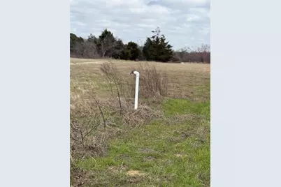 1500 County Road 481, Thrall, TX 76578 - Photo 9