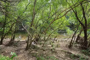 1012 Gaston Ave, Austin, TX 78703 - Photo 37
