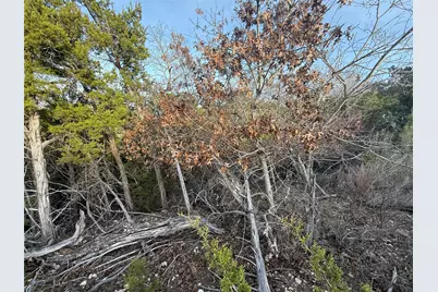 Lot 180 Lookout Mountain Road, Johnson City, TX 78636 - Photo 19