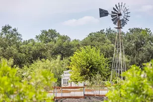 100 Peach Flt Ct, Liberty Hill, TX 78642 - Photo 35