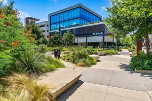 4325 Jackson Ave, Austin, TX 78731 - Photo 23