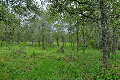 Tbd E Whitworth Lane E, Bastrop, TX 78602 - Photo 13