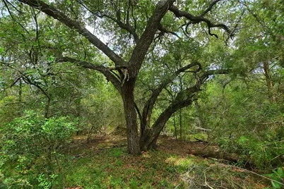 Tbd E Whitworth Lane E, Bastrop, TX 78602 - Photo 15