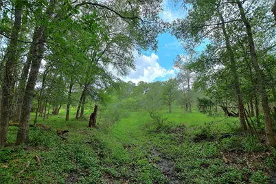 Tbd E Whitworth Lane E, Bastrop, TX 78602 - Photo 1