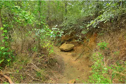 Tbd E Whitworth Lane E, Bastrop, TX 78602 - Photo 19