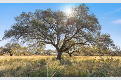 Tract 9 Pedernales Canyon Trail, Spicewood, TX 78669 - Photo 11