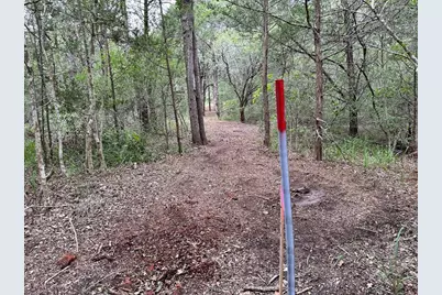 Tbd Lot 1 Zapalac Road, Smithville, TX 78957 - Photo 7