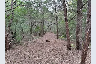 Tbd Lot 1 Zapalac Road, Smithville, TX 78957 - Photo 9