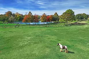 1834 1463 Rd, Katy, TX 77494 - Photo 5