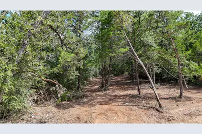 115 Eaglenest Court, Smithville, TX 78957 - Photo 5