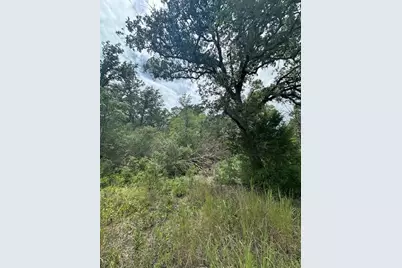 0 Tbd Lot 102 and Lot 100 Ripple Brook Drive, Bastrop, TX 78602 - Photo 7
