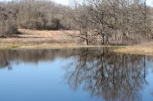 10905 S Fm 1915 Fm 1915 Hwy, Buckholts, TX 76518 - Photo 15